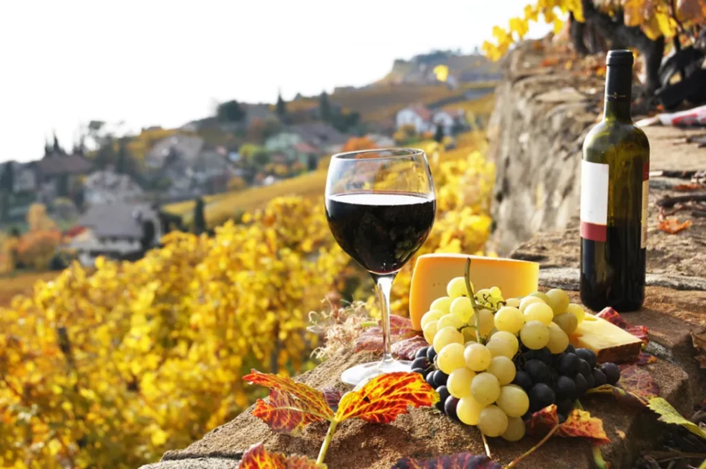 Хорошее испанское вино. Откройте для себя многообразие регионов и сортов, которые делают их такими особенными.