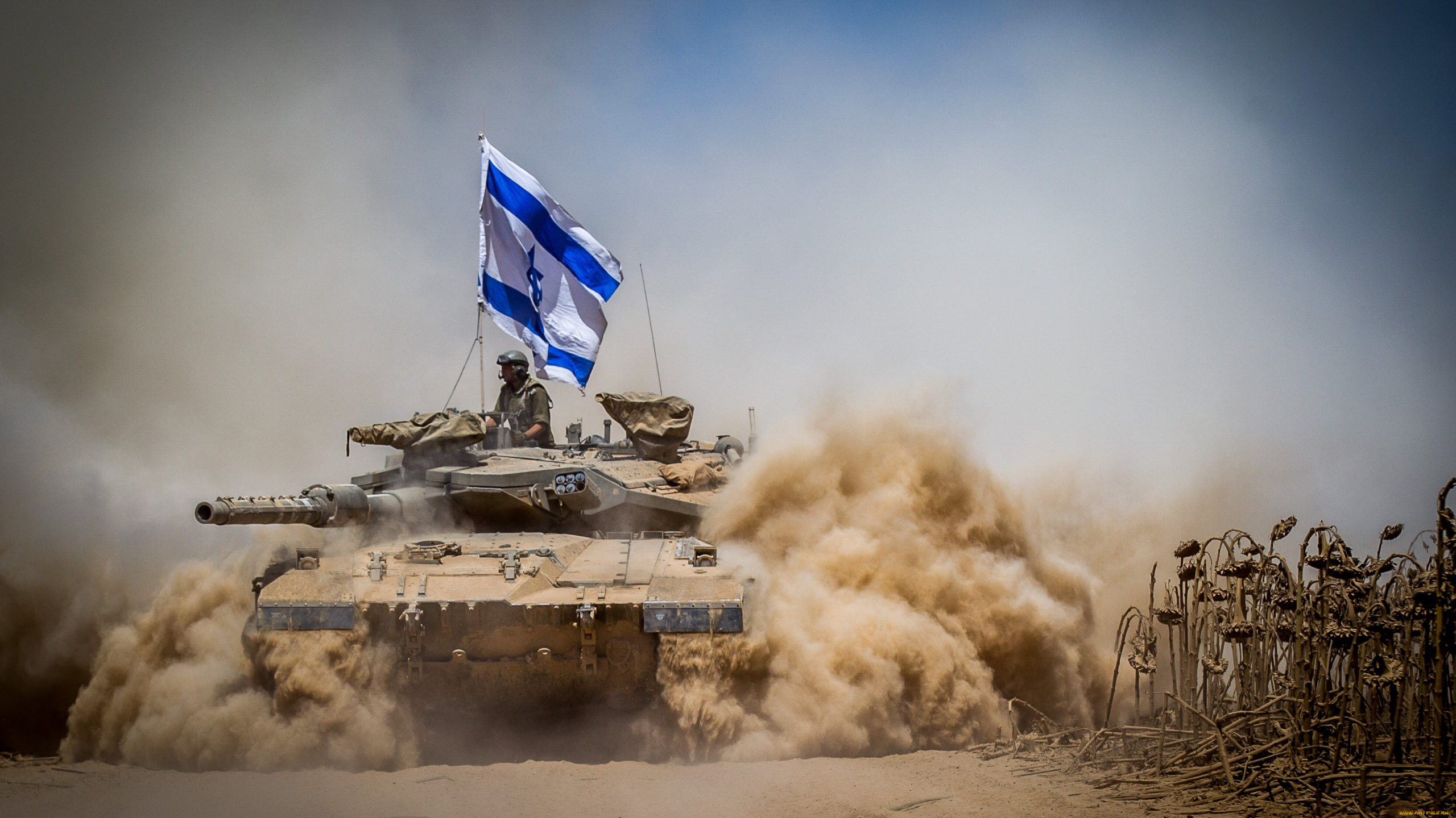 Вооруженные силы Израиля