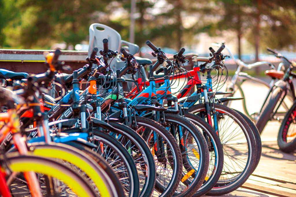Аренда велосипедов: новый бизнес-тренд